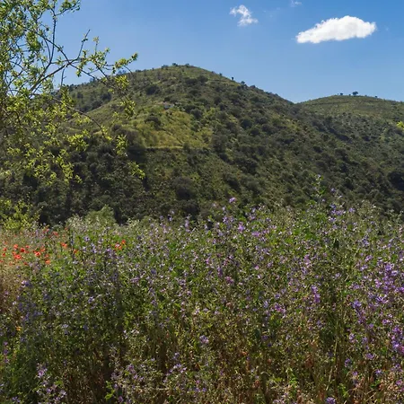 La Polifinca Ecologique Homestay