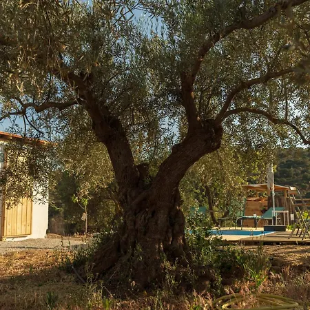 La Polifinca Ecologique *