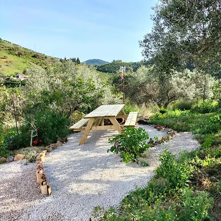 La Polifinca Ecologique